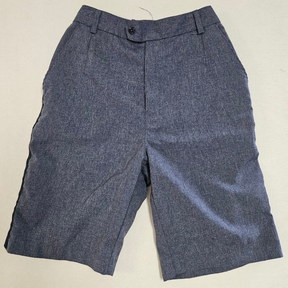 Official Women's Letter Carrier Regular Fit Walking Shorts Women 6 EUC